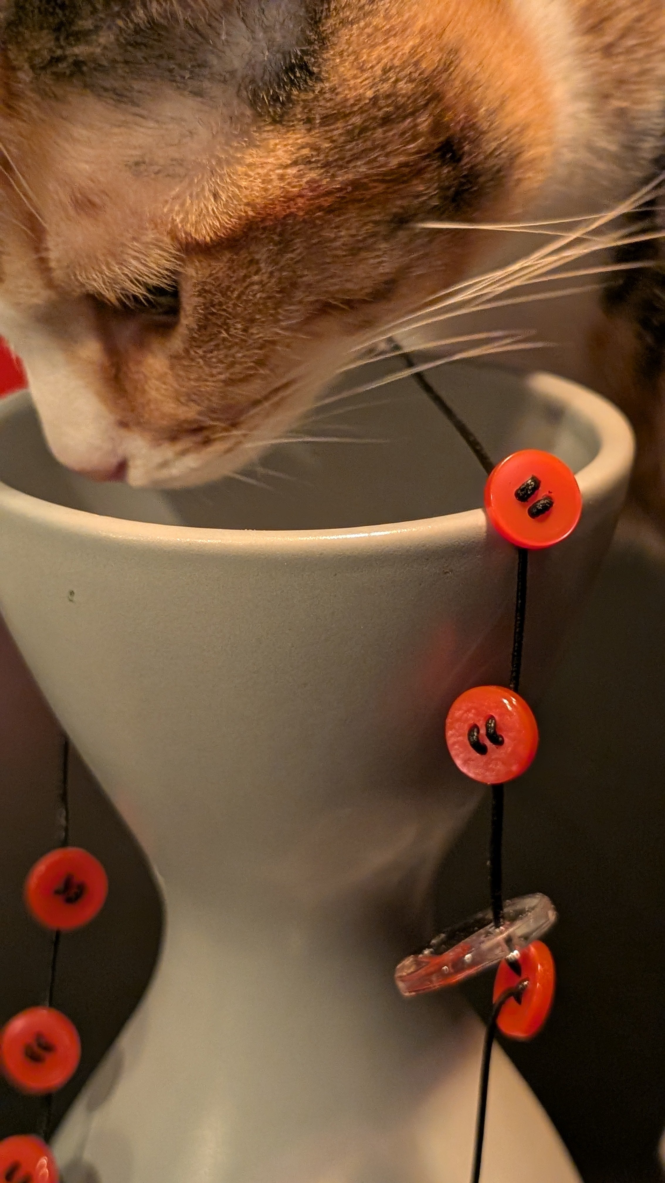 art. 337: resistenza al tempo - comma 2